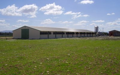 Bâtiment d'élevage vetovo