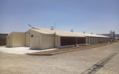 technique d'élevage