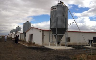 l'expert en technique